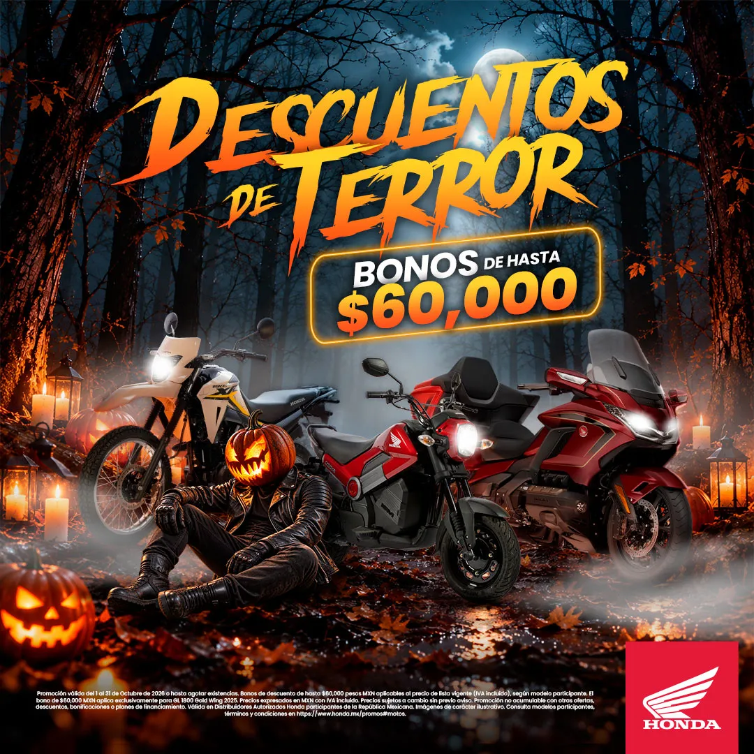 DESCUENTOS_TERROR_GENERAL